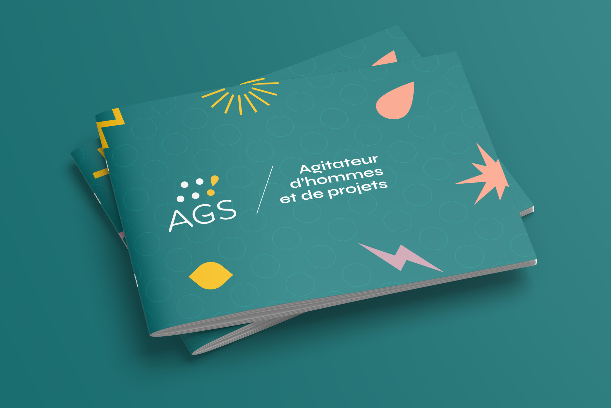 Plaquette de présentation commerciale AGS