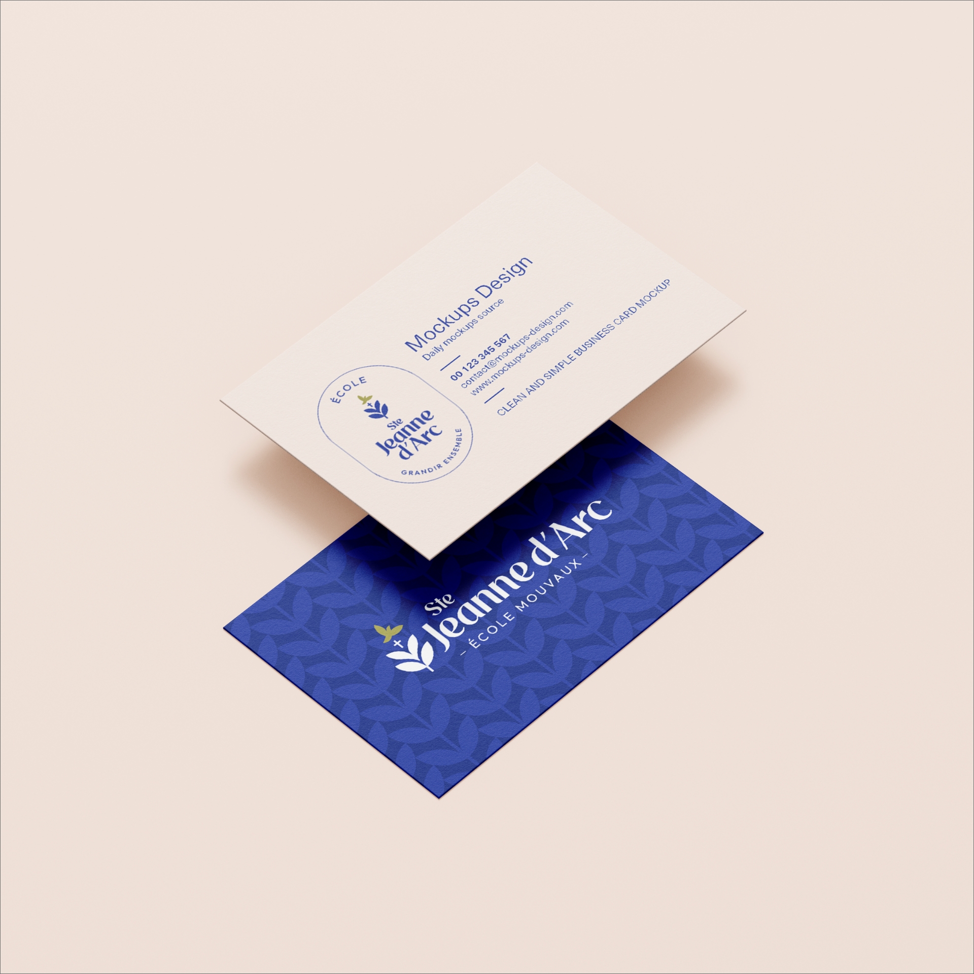 Cartes de visite appliquant l'identité visuelle d'une école